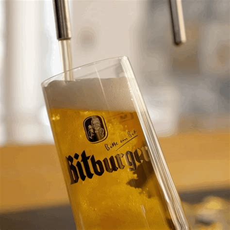 beer pouring gif|drinking a beer gif.